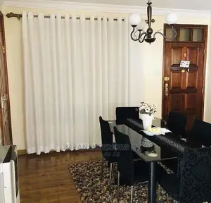 Curtain Net
