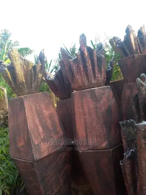 Are Good Pots