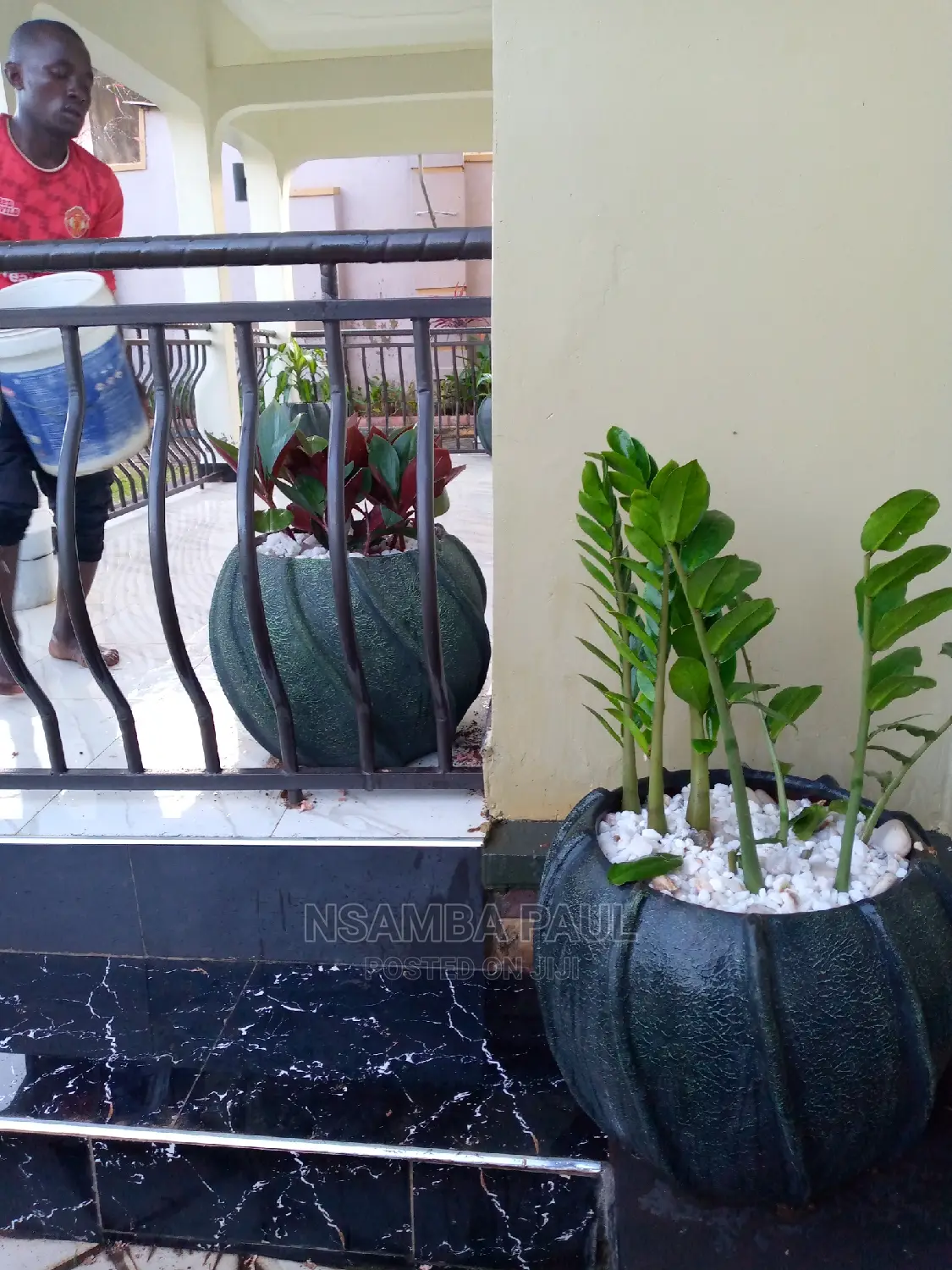 Flowers Pots