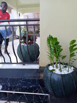 Flowers Pots