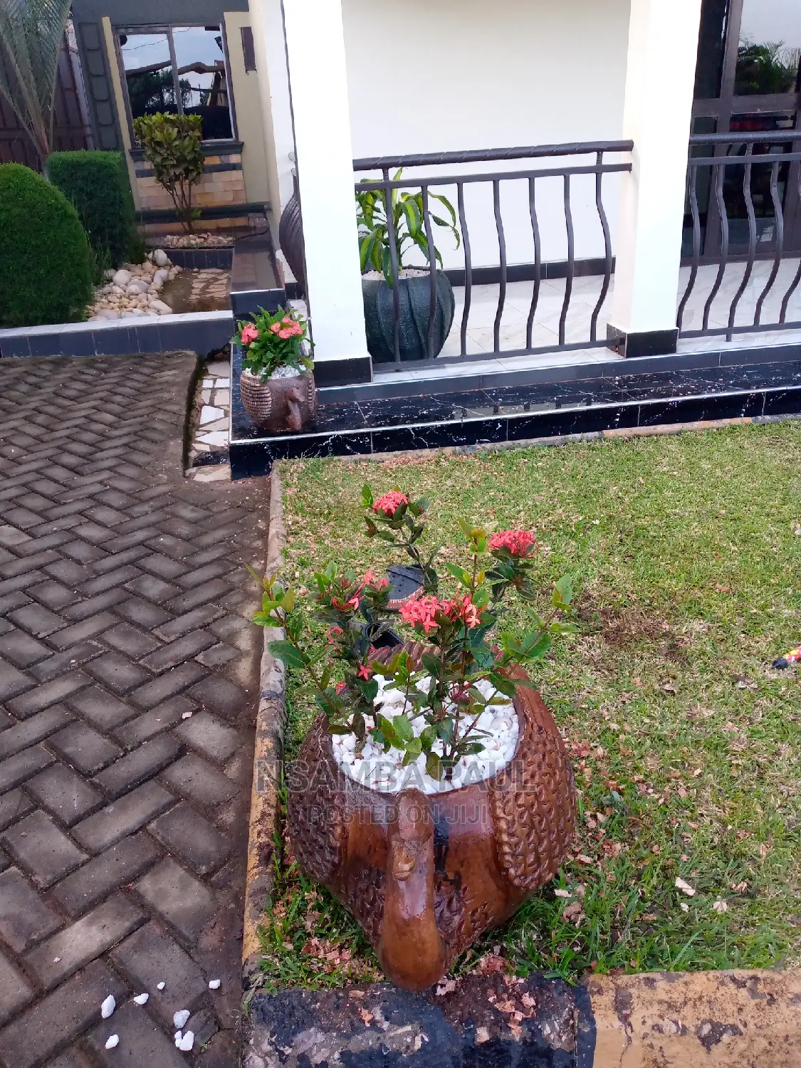 Flowers Pots