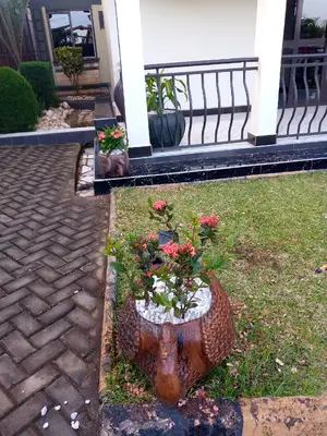 Flowers Pots