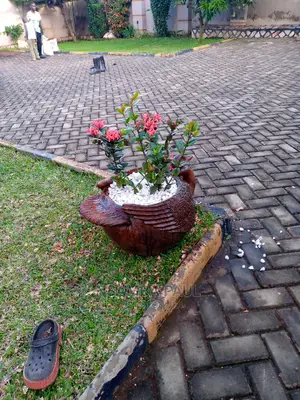 Flowers Pots