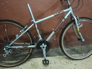 Adults Bicycles 26