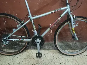 Adults Bicycles 26
