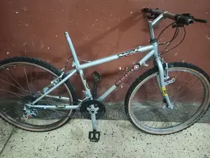 Adults Bicycles 26