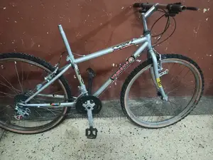 Adults Bicycles 26