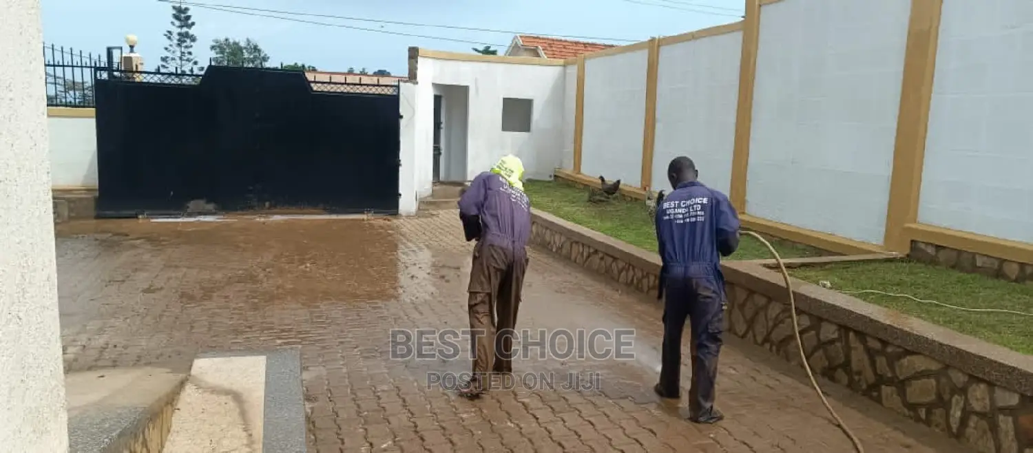 Effective Paver Cleaning Services