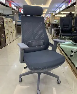 Executive Mesh Offers Chair
