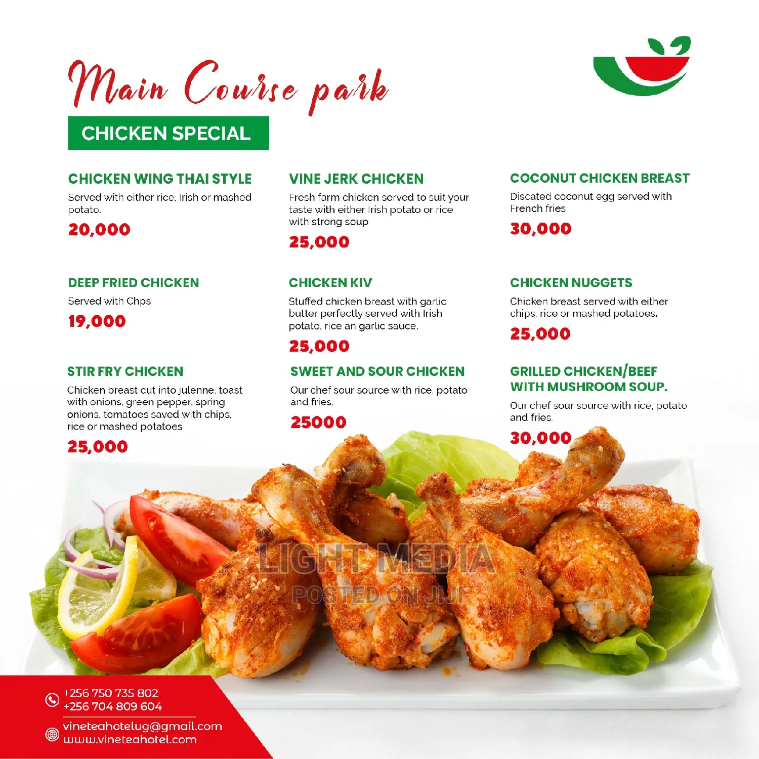 Professional Food Menu