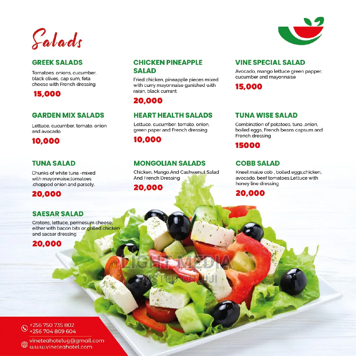 Professional Food Menu