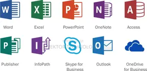 Microsoft Office Professional 2011, 2016 2021 Installation
