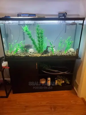 Best Aquarium With the Best Wooden Stand