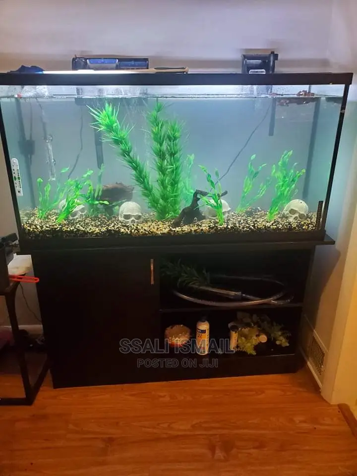 Best Aquarium With the Best Wooden Stand
