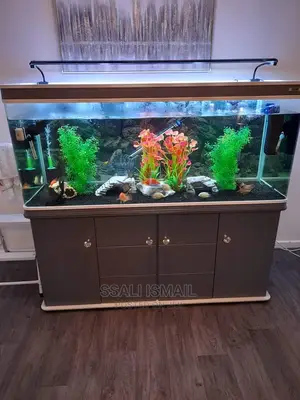 An Aquarium on a Best Coffee Brown Wooden Stand