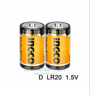 Ingco Alkaline Batteries - DLR20 1.5V