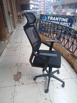 Mesh Back Executive Offife Chair With Headrest
