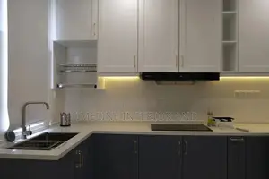 Shining Kitchen Cabinets