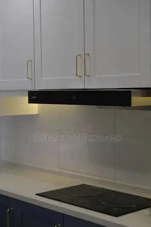 Shining Kitchen Cabinets