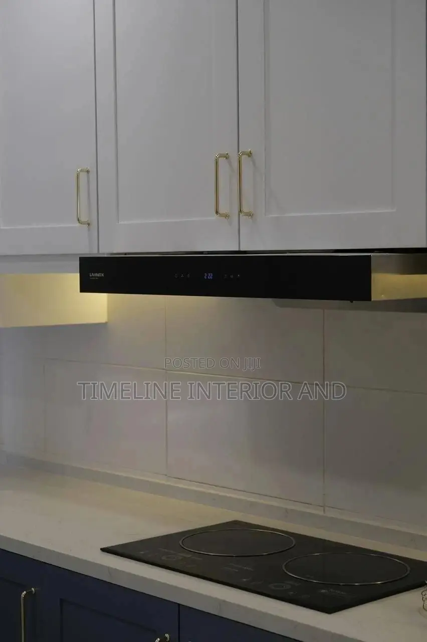 Shining Kitchen Cabinets