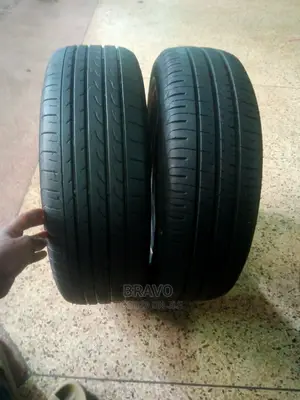 195/65r15 Dunlop