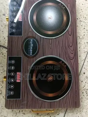 Electric Double Cooker