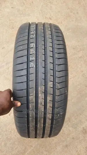 225/55r17 Rapid