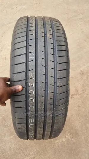 225/55r17 Rapid