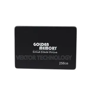 Golden Memory SSD 256GB SATA3 Solid State Drive HDD 2.5
