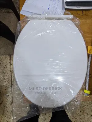 Ordinary Seat Cover