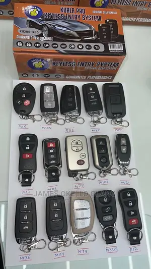 Keyless Entry Remotes
