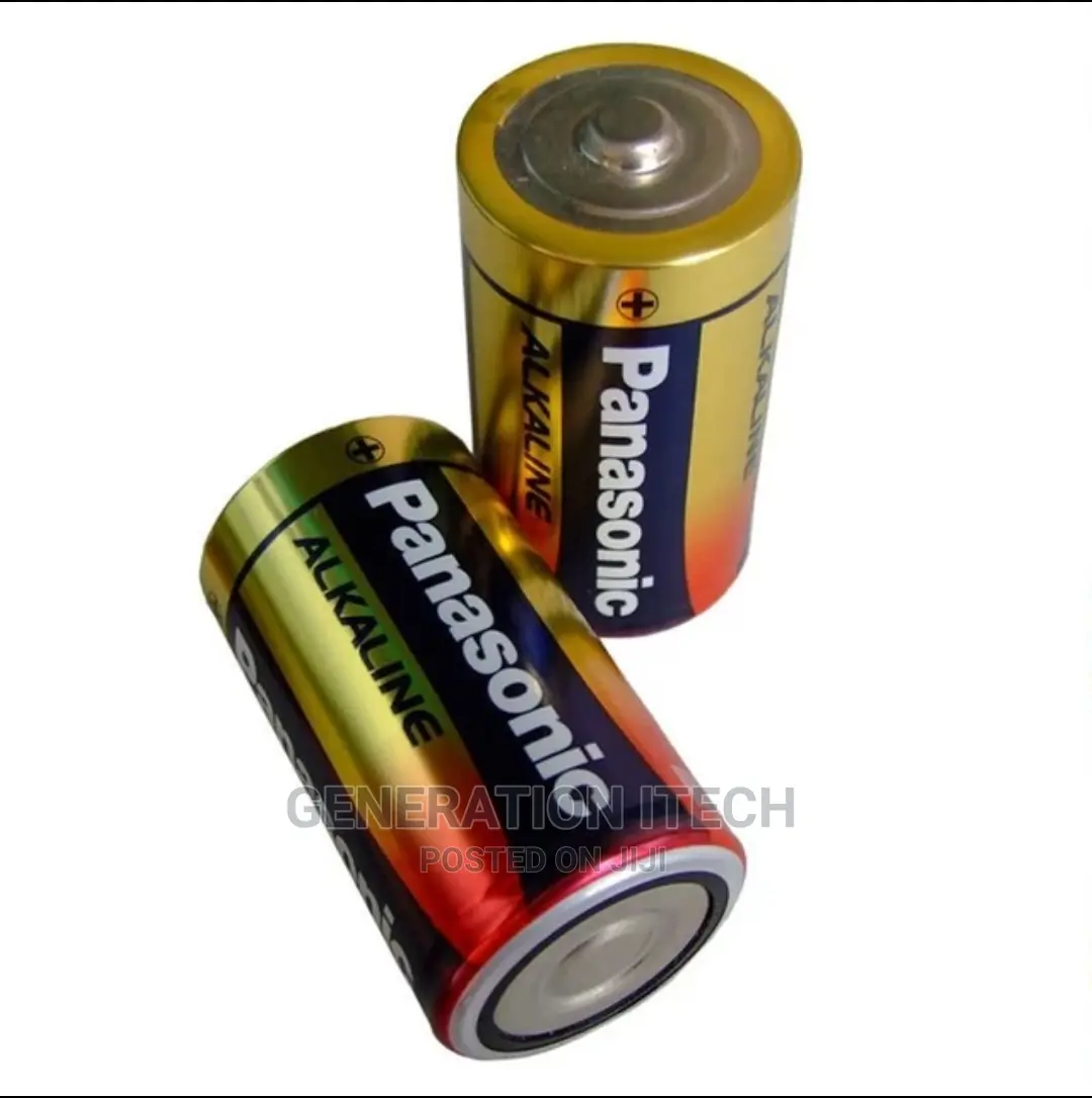 Panasonic LR20 D Size 1.5V Alkaline Batteries