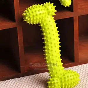 Dog and Cat Accessories