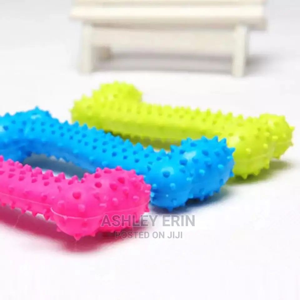 Dog and Cat Accessories