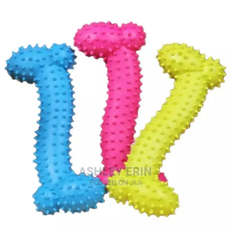 Dog and Cat Accessories