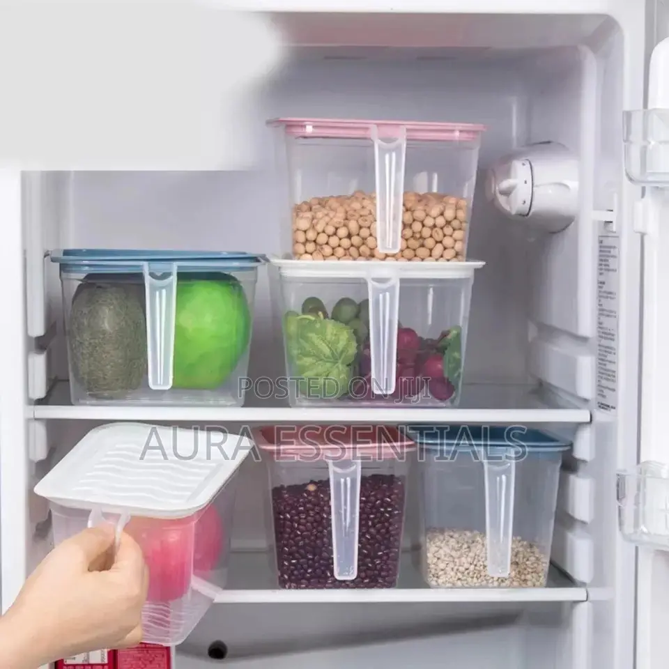 Fridge Container