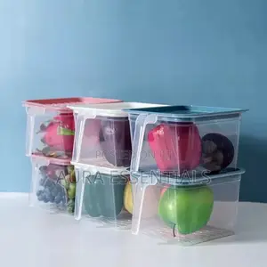 Fridge Container