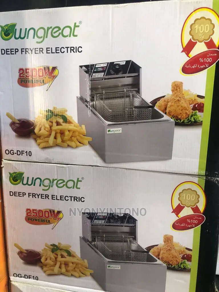 Own Great 6 Liters Deep Fryer With 2years Warranty