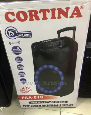 Cotina 15 Inch Rechargeable Speaker