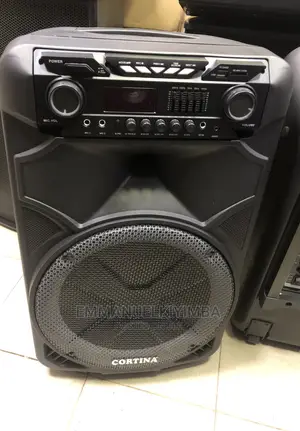 Cotina 15 Inch Rechargeable Speaker