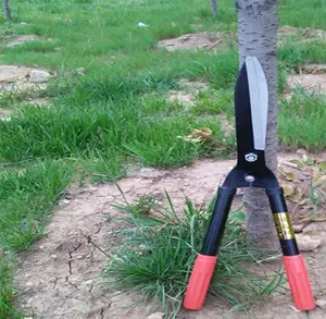 Garden Shears