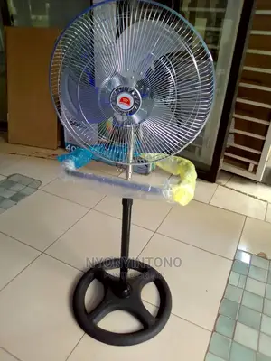 Strong Crown Stand Fan
