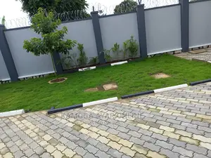 Natural Grass Carpet And Paspalum Grass 1