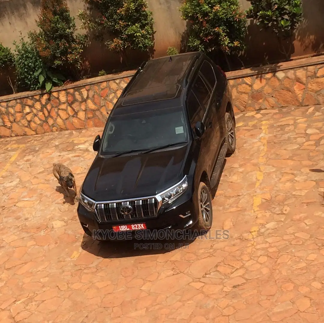 Landcruisers For Hire