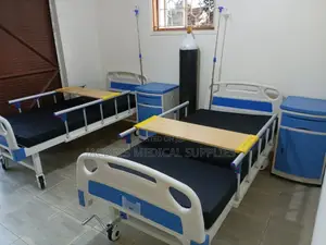 Medical Bed With Mattress and Dripstand