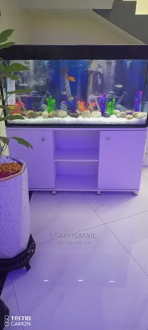 Looking Nice With a Nice Stand