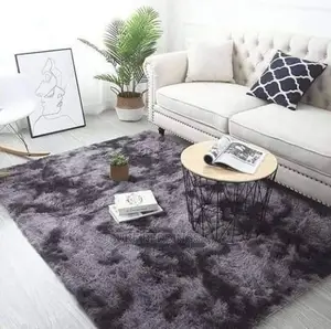 Modern Fluffy Carpet