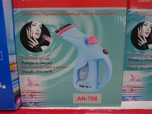 High Performance Garment Steamer