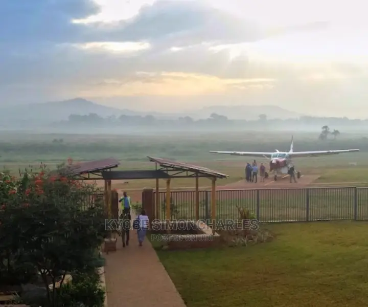Flights, Planes And Helicopters