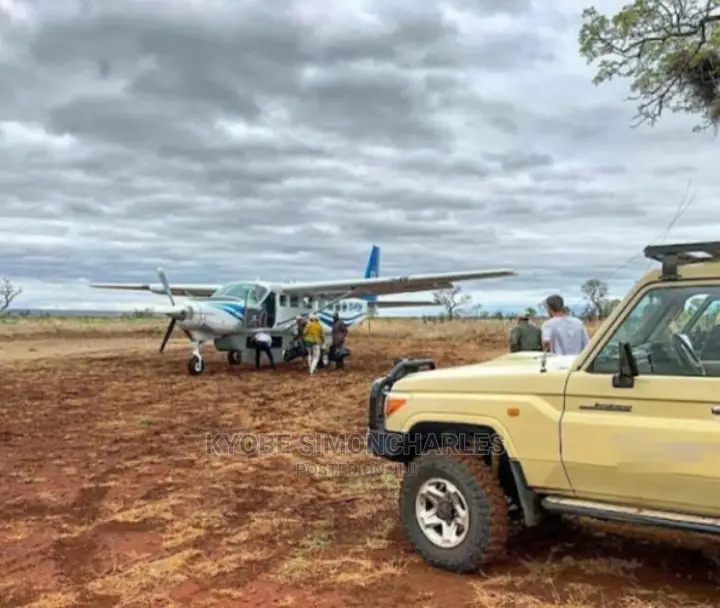Flights, Planes And Helicopters